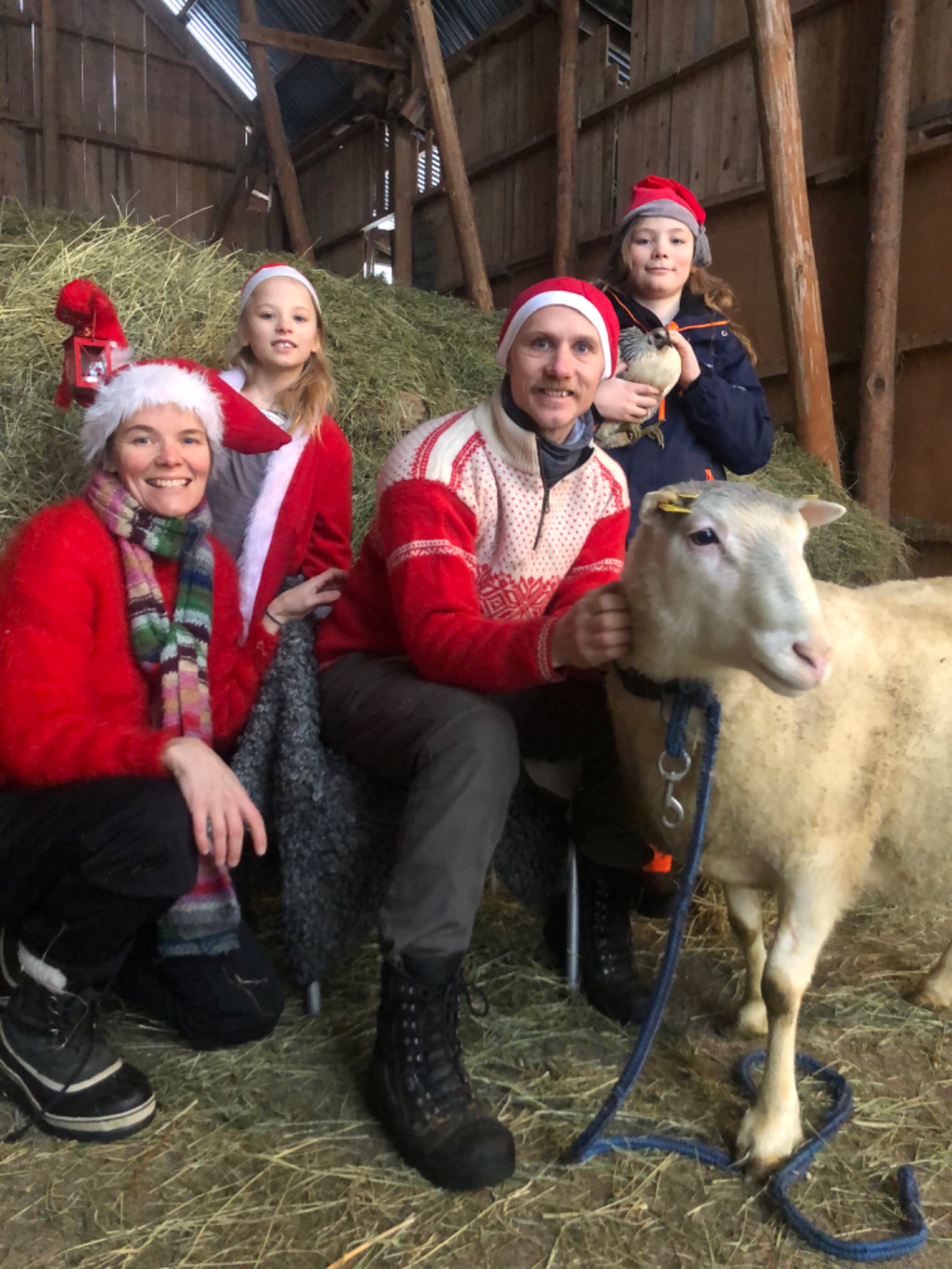 God jul med baggen och hönapöna