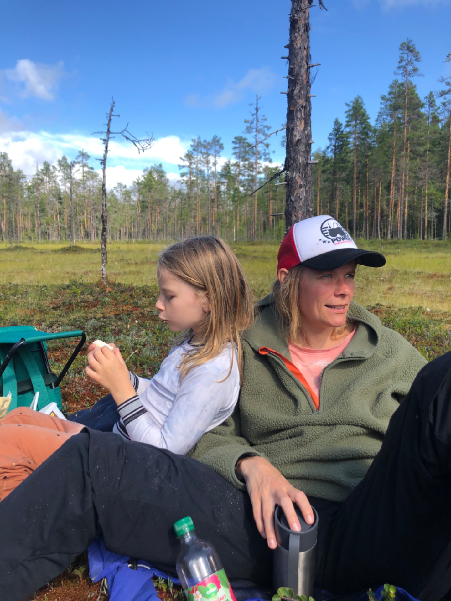 Plockar hjortron